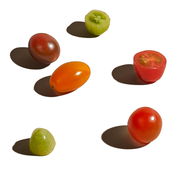 S422-Heirloom Tomatoes