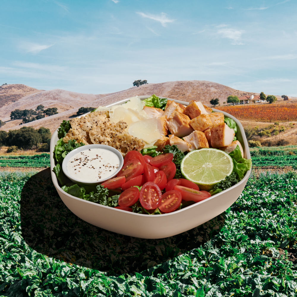 mixed greens cozy grove mixed greens cozy grove