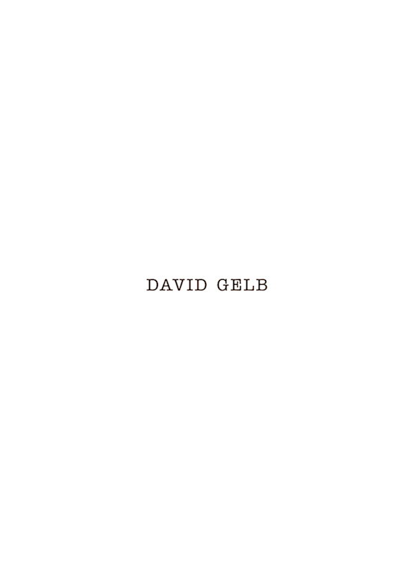 David Gelb