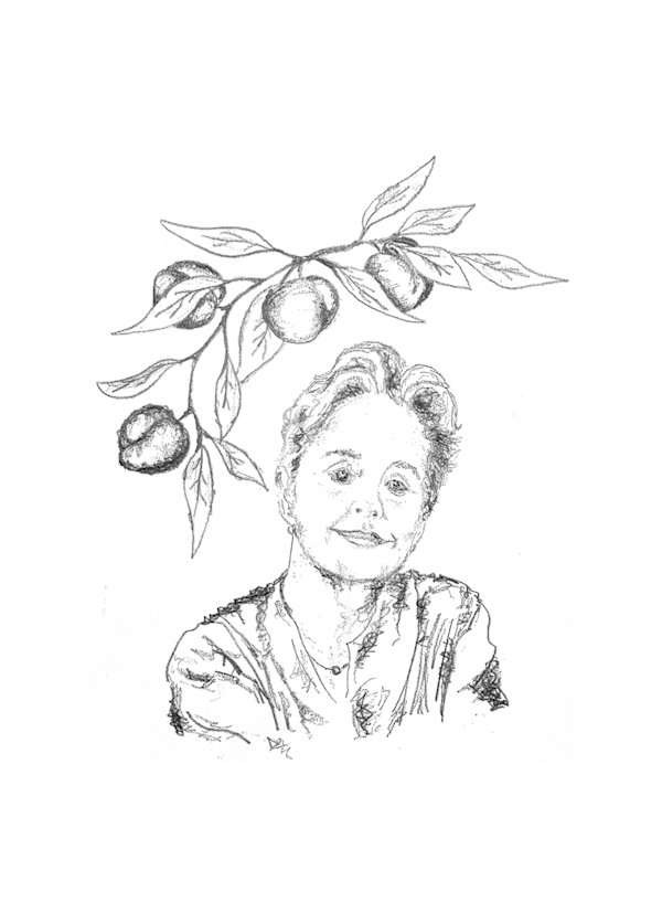 Pencil sketch on white paper. The lower portion shows a portrait of Alice Waters with short, wavy hair, a gentle smile, and a necklace, wearing a loosely rendered blouse with crosshatched shading. Above her, a leafy branch stretches across the page bearing several round peaches, drawn in soft graphite shading with detailed veined leaves.