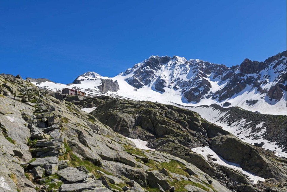 Monte Disgrazia, via normale