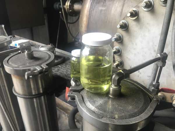 Proton diesel sample