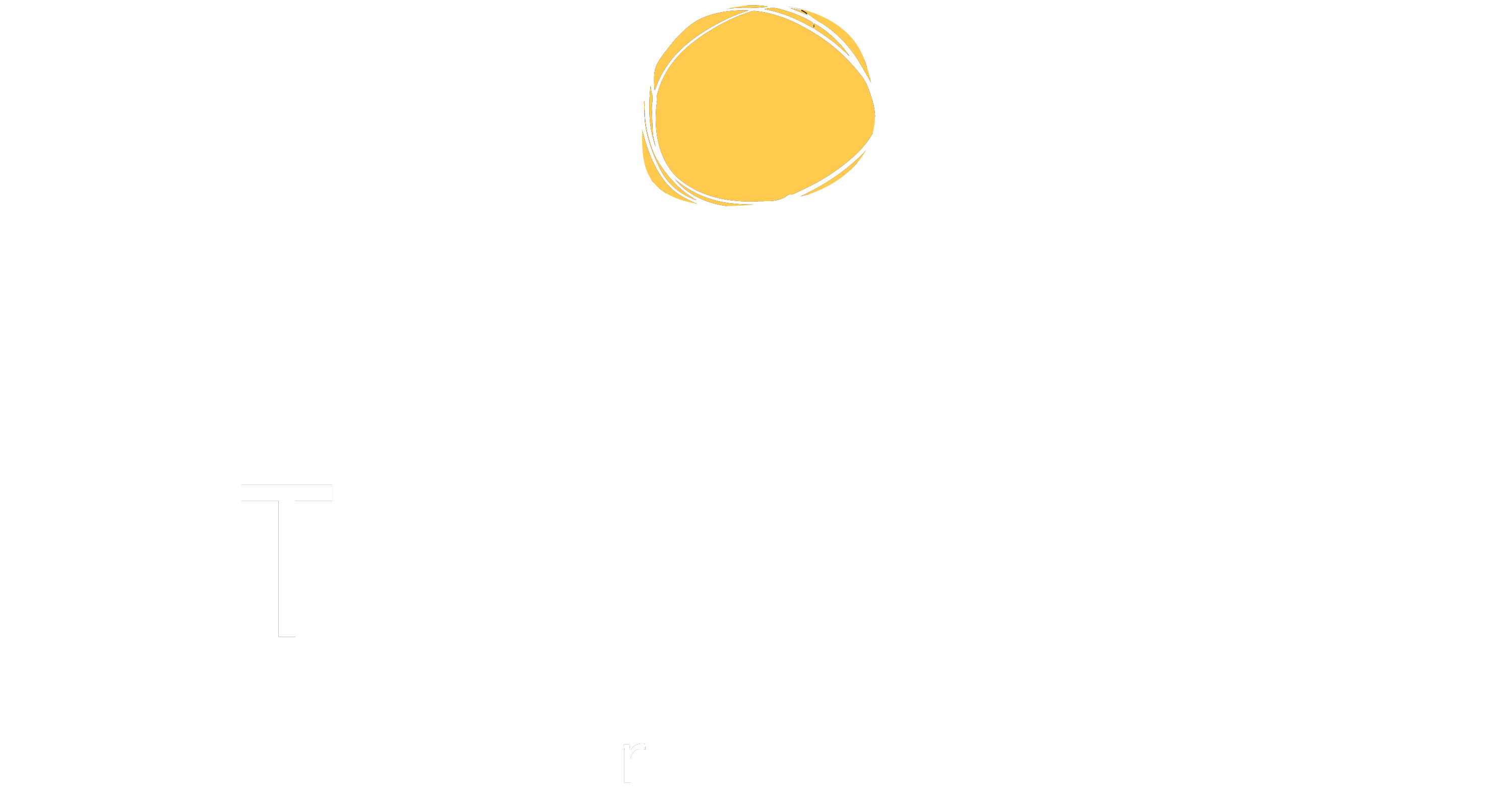 Better HR Co. logo white