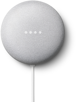 Google home mini with sales nest