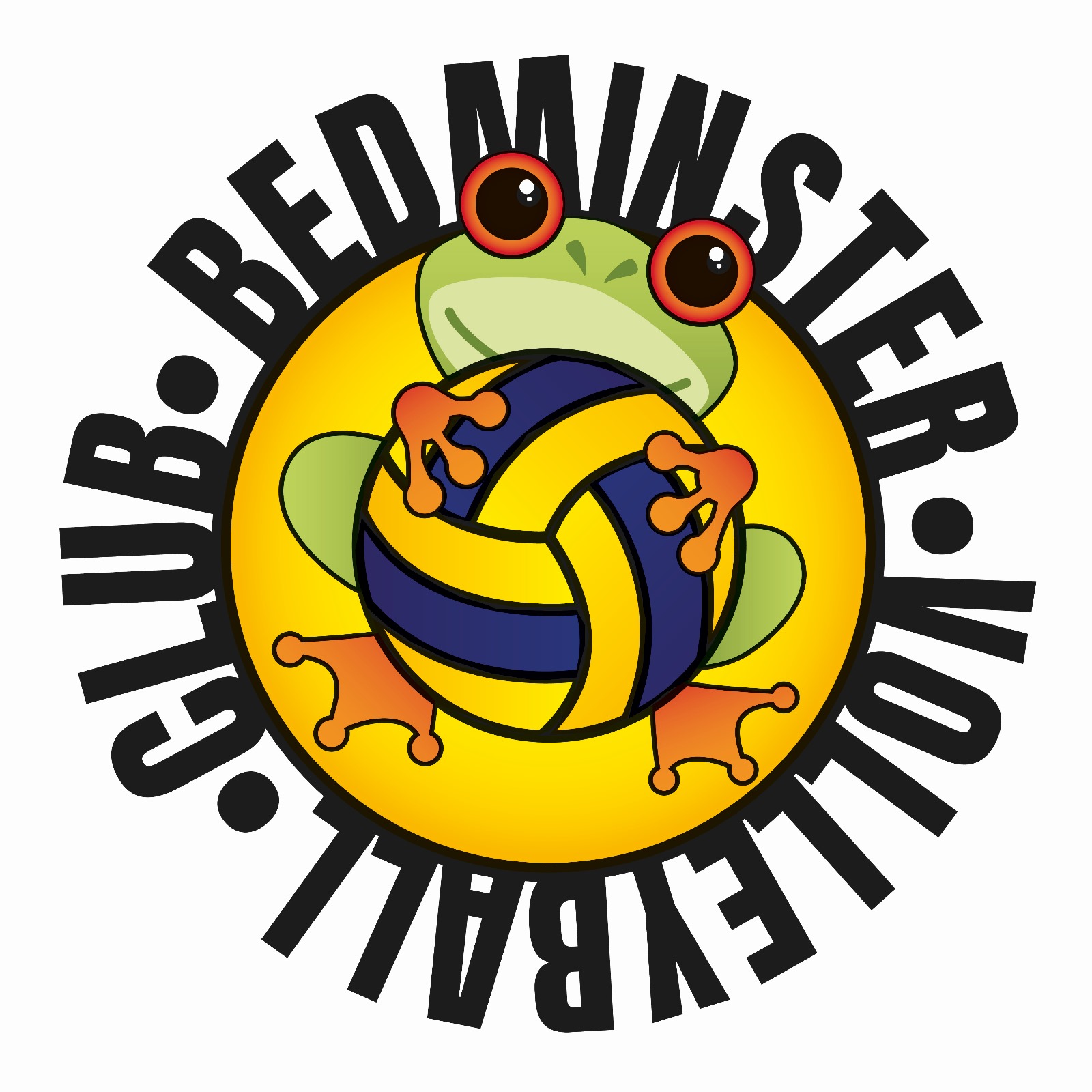 Bemi Volleyball Club