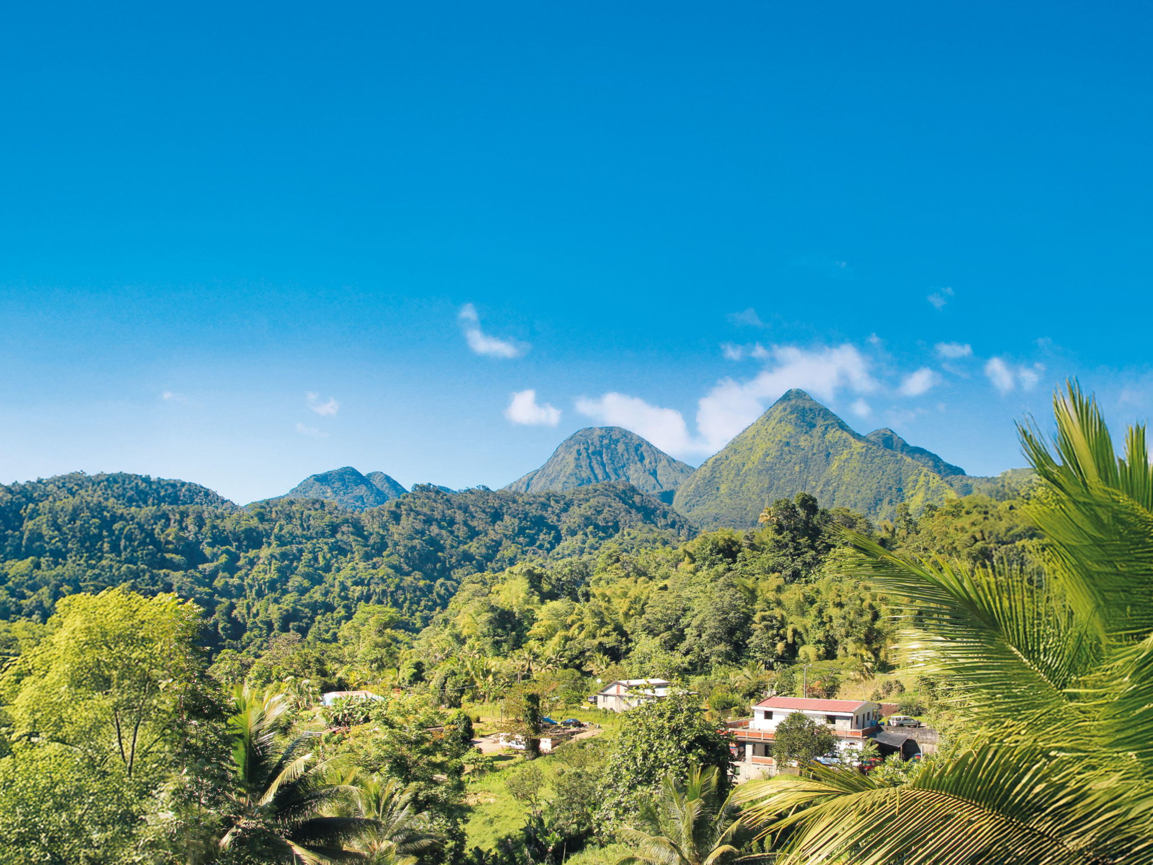 Grüne Berge und Palmen unter blauem Himmel - Karibik-Kreuzfahrt Grüne Berge und Palmen unter blauem Himmel - Karibik-Kreuzfahrt