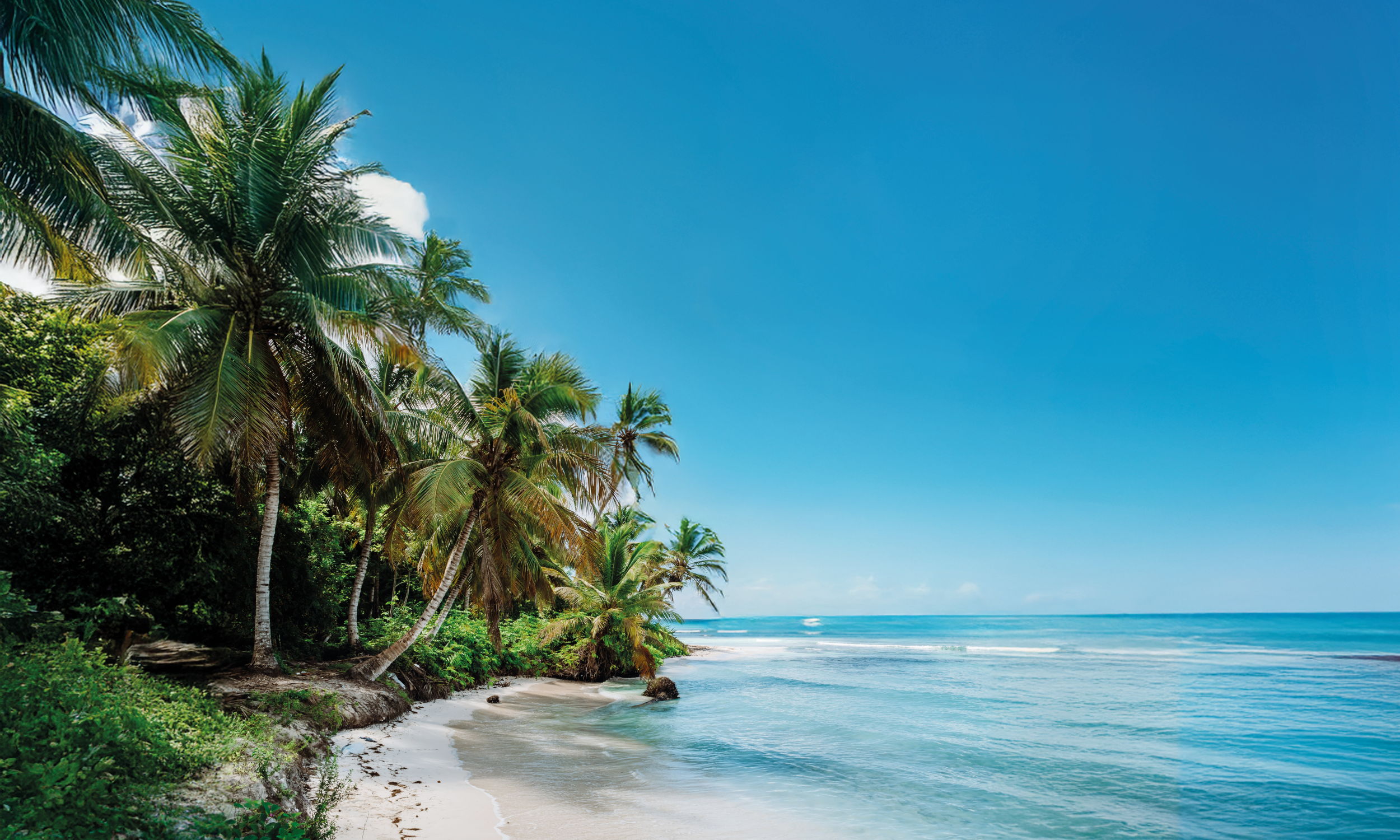 Tropischer Strand mit Palmen und blauem Himmel