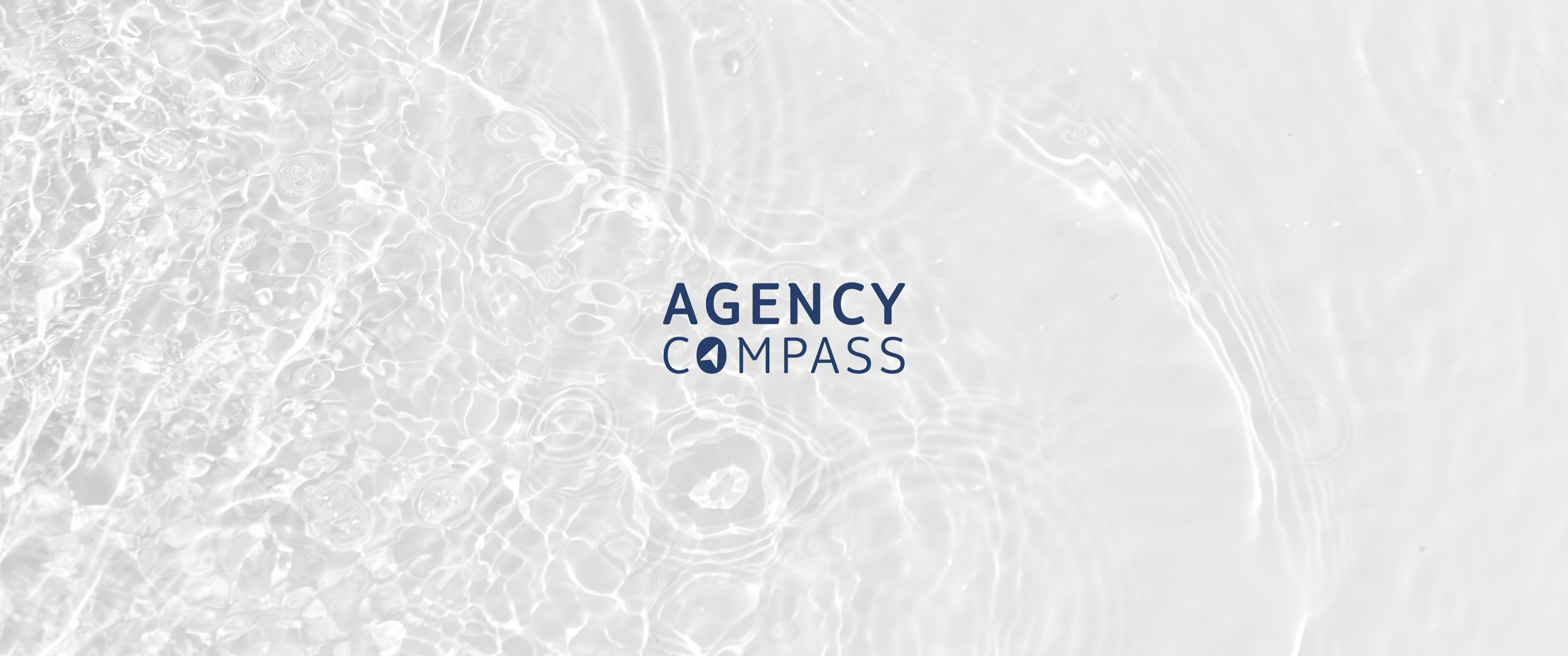 Immerse yourself into the Agency Compass. 