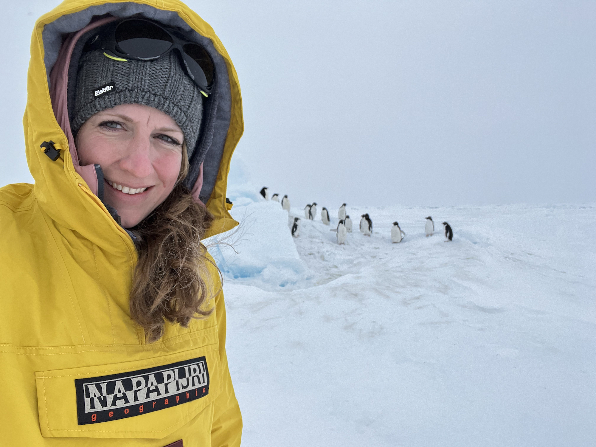 fcaf88d7956d76d37c2a0bc08636fdc9