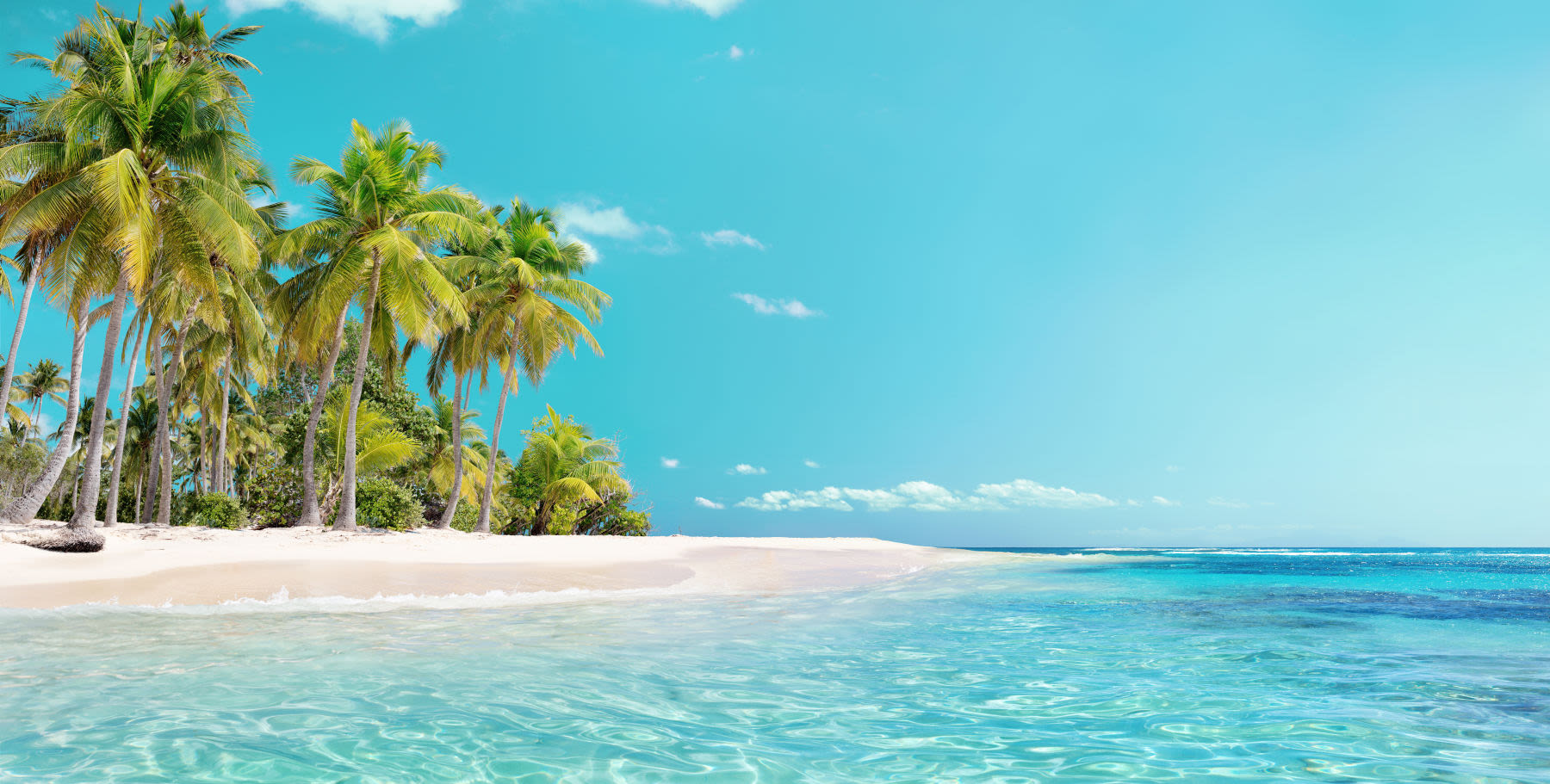 Tropischer Strand mit Palmen, türkisfarbenes Meer, blauer Himmel. Tropischer Strand mit Palmen, türkisfarbenes Meer, blauer Himmel.