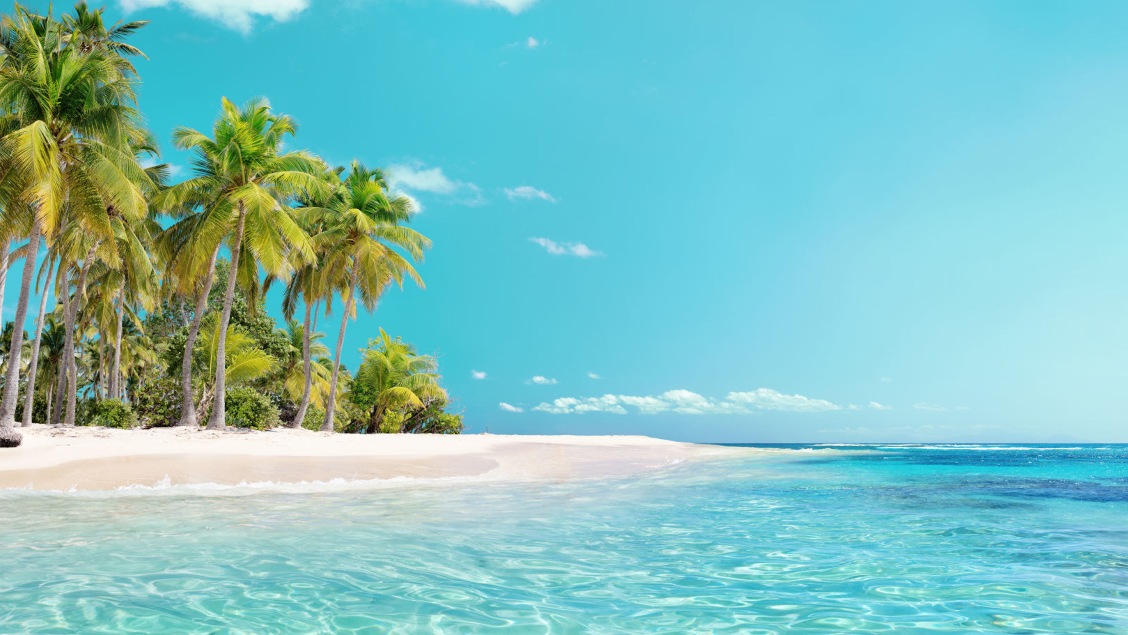 Karibik Tropischer Strand mit Palmen, türkisfarbenes Meer, blauer Himmel.