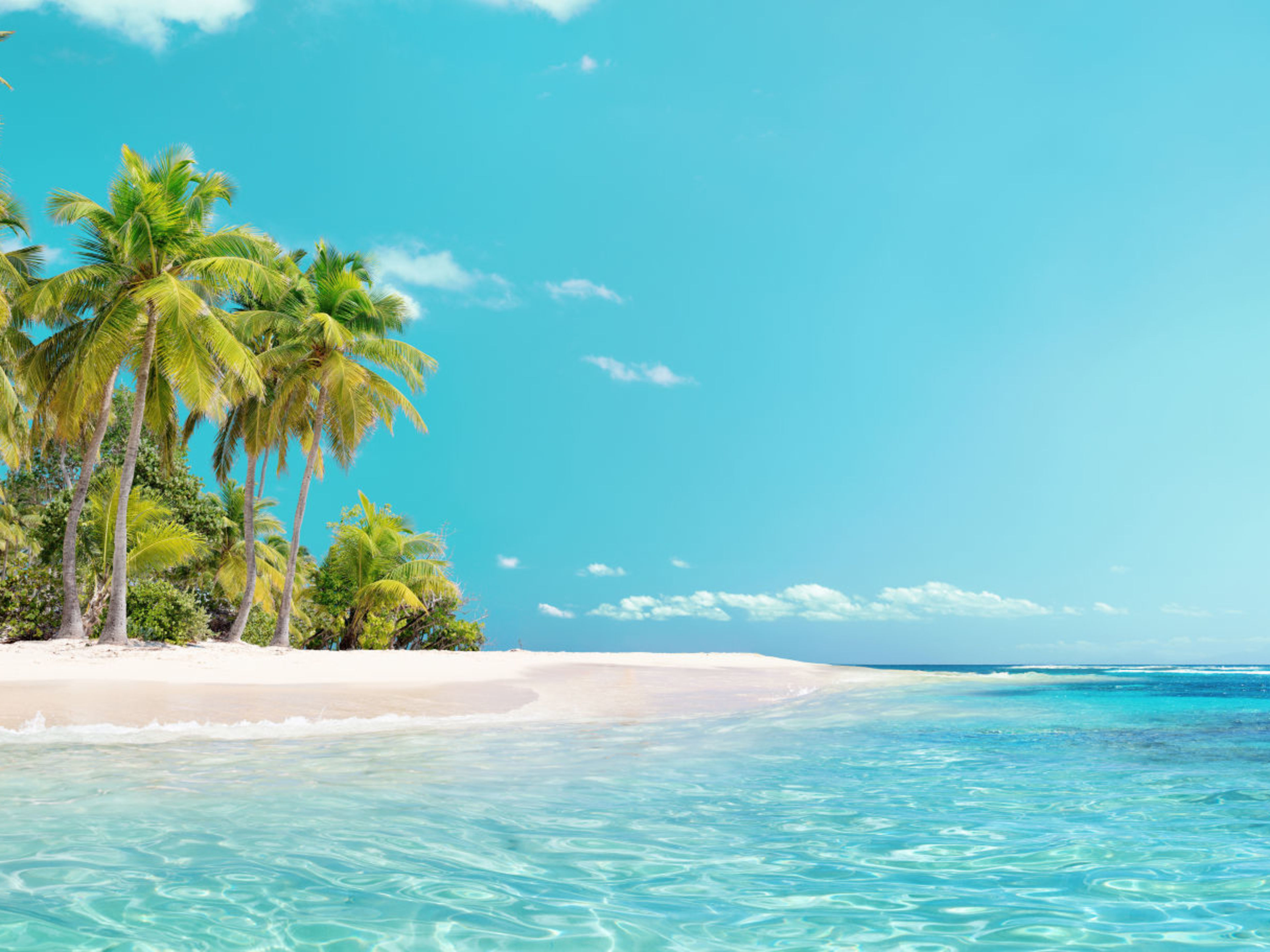 Karibik Tropischer Strand mit Palmen, türkisfarbenes Meer, blauer Himmel.
