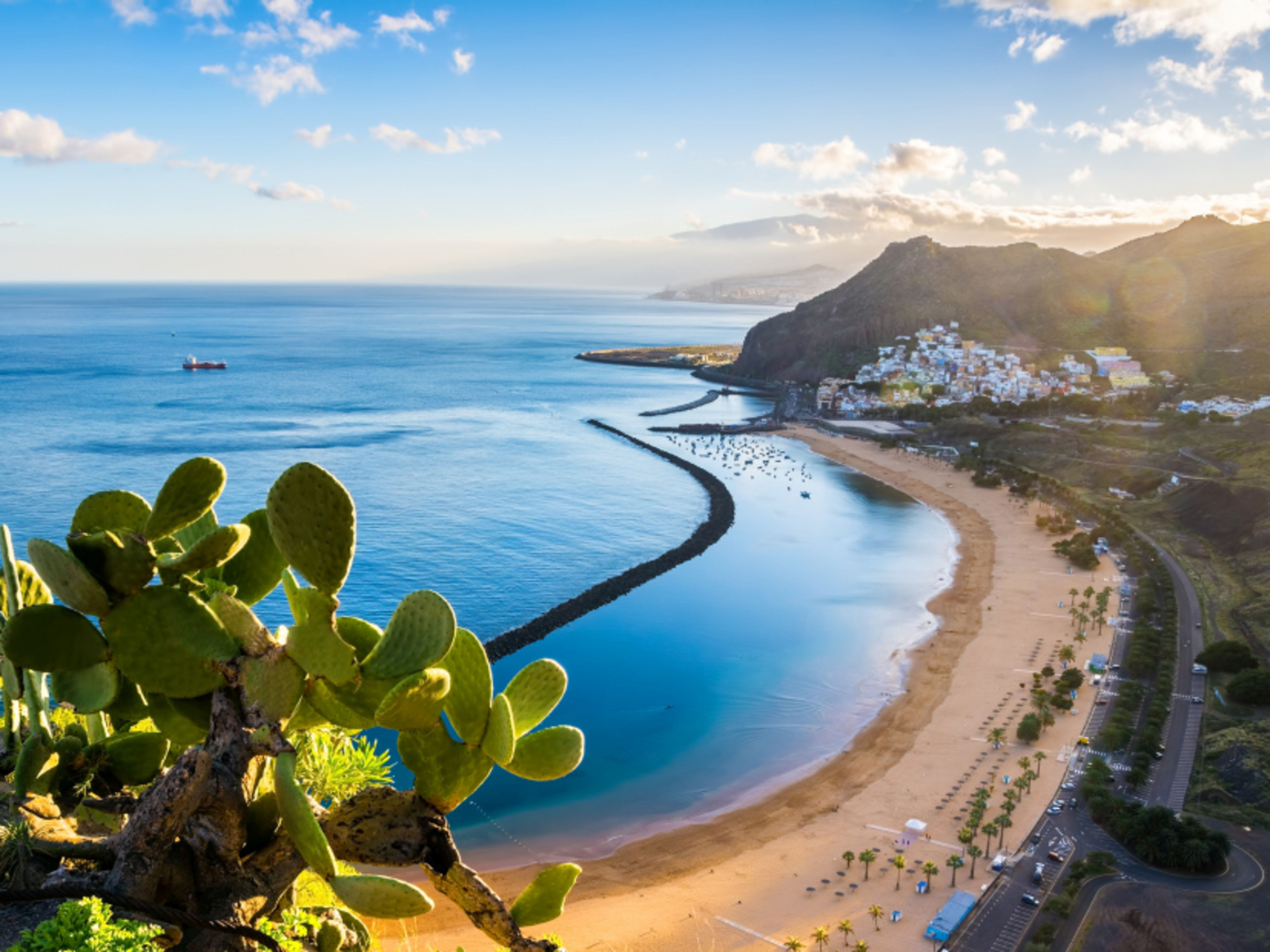 Strand von Las Teresitas, Teneriffa, mit Kaktus im Vordergrund. Strand von Las Teresitas, Teneriffa, mit Kaktus im Vordergrund.