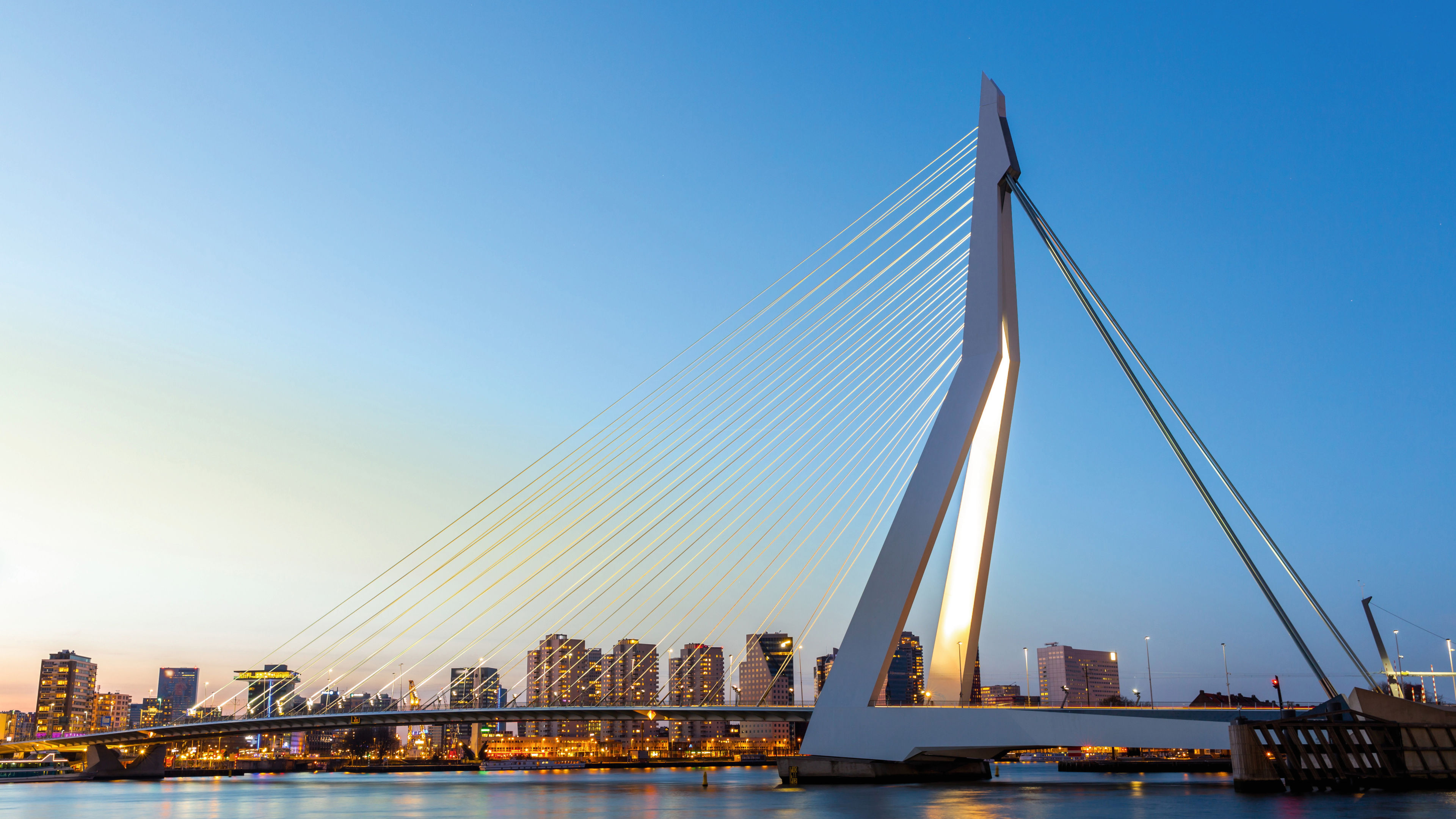 Erasmusbrücke bei Sonnenuntergang, Rotterdam Skyline im Hintergrund.