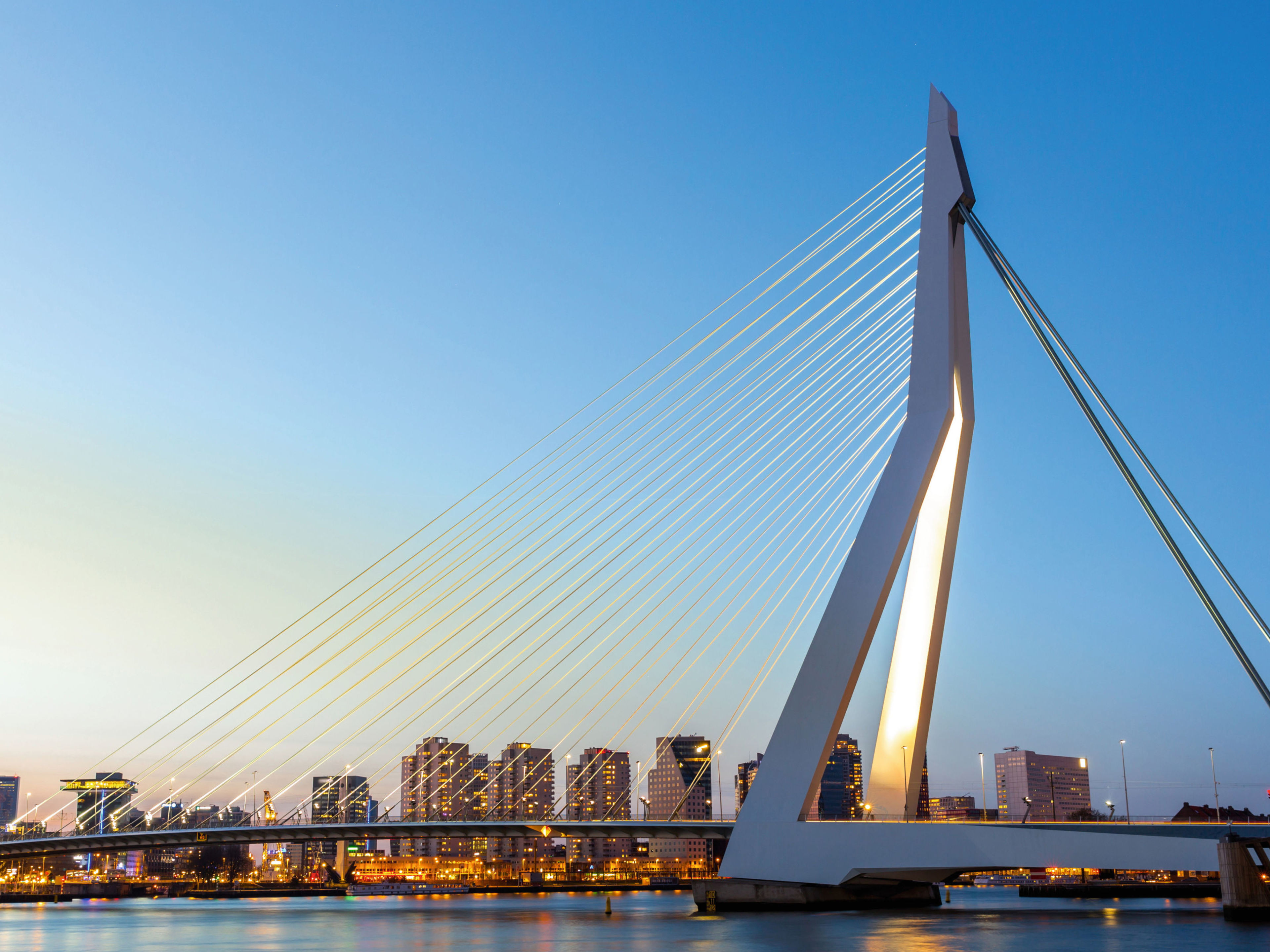 Rotterdam Erasmusbrücke bei Sonnenuntergang, Rotterdam Skyline im Hintergrund.
