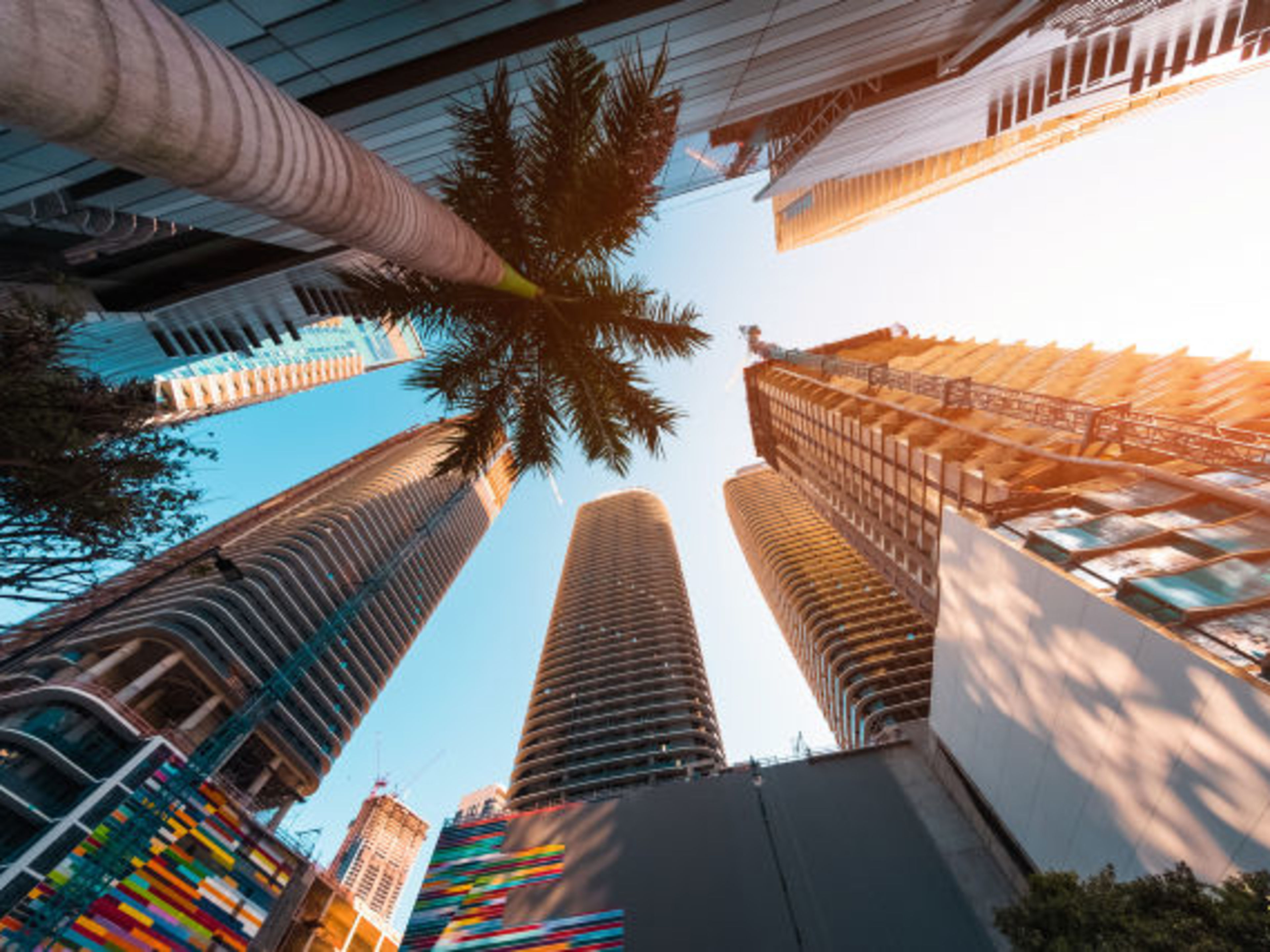 Miami Hochhäuser und Palme bei Sonnenuntergang in Miami.