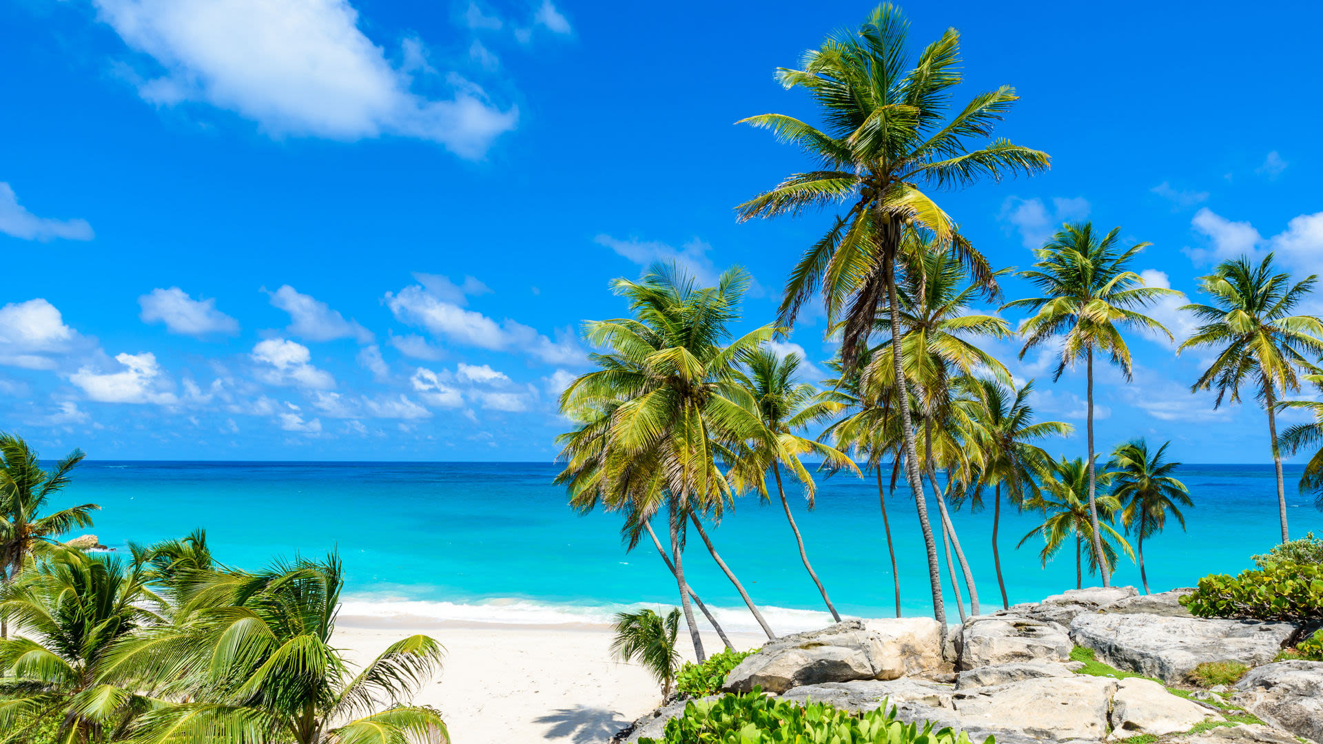 Palmen am weißen Sandstrand mit türkisblauem Meer und blauem Himmel.