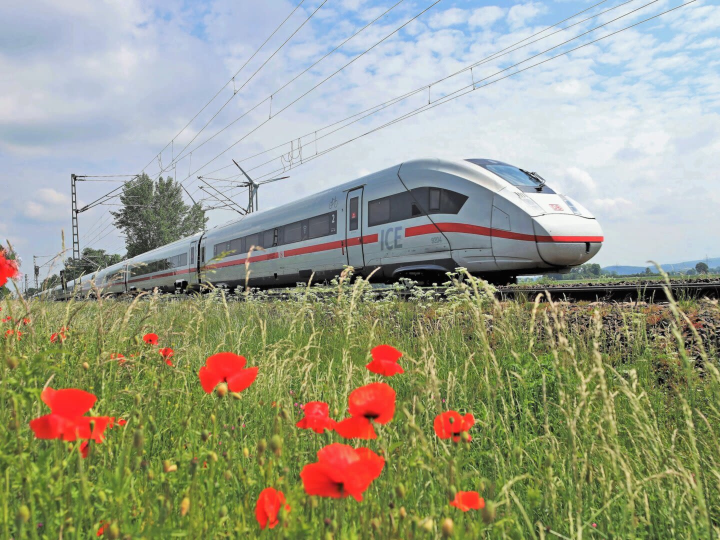 ICE-Zug fährt durch grüne Landschaft mit roten Mohnblumen.
