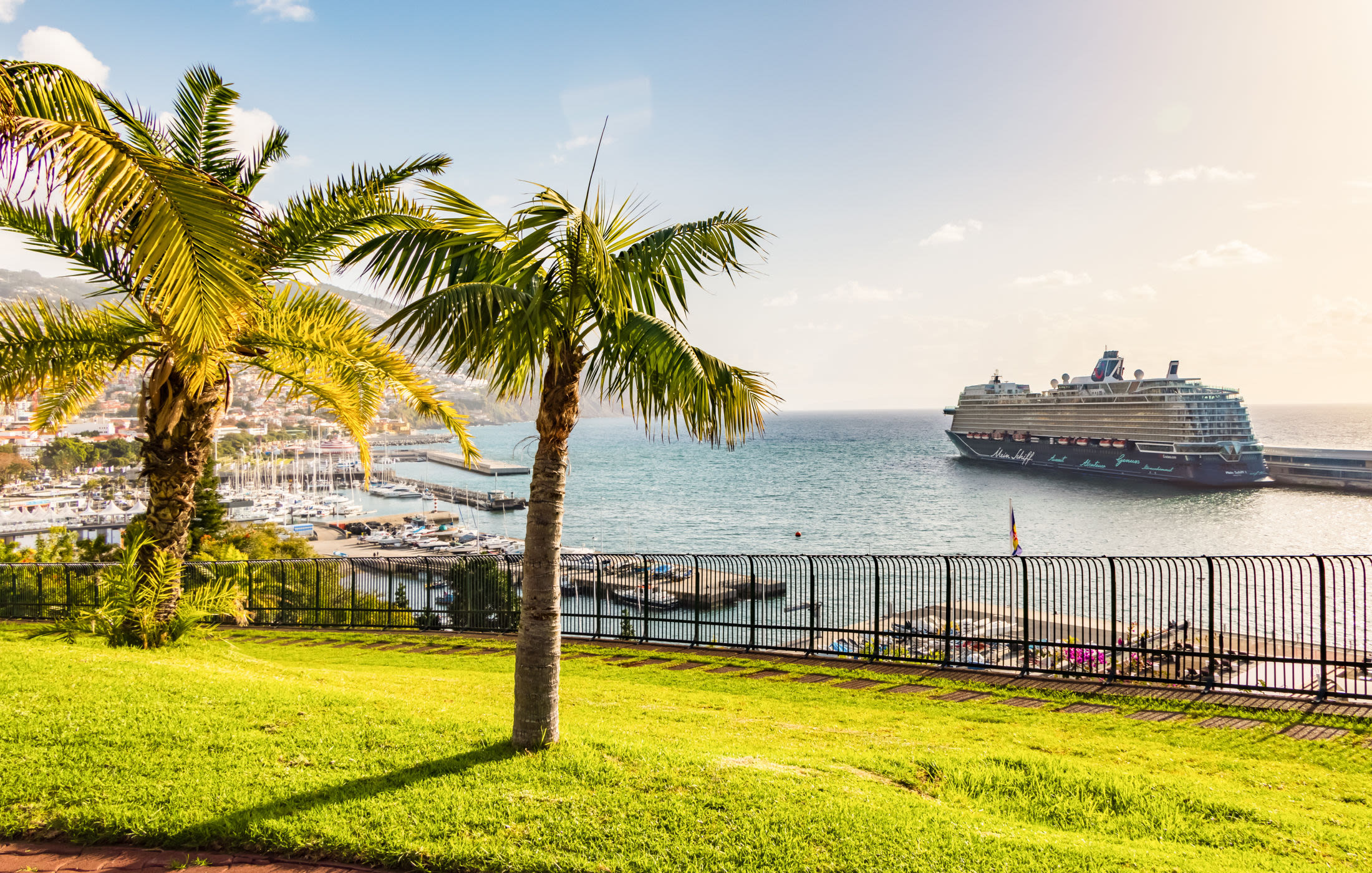 Kreuzfahrtschiff der Mein Schiff® Flotte im Hafen, Palmen, Meer.