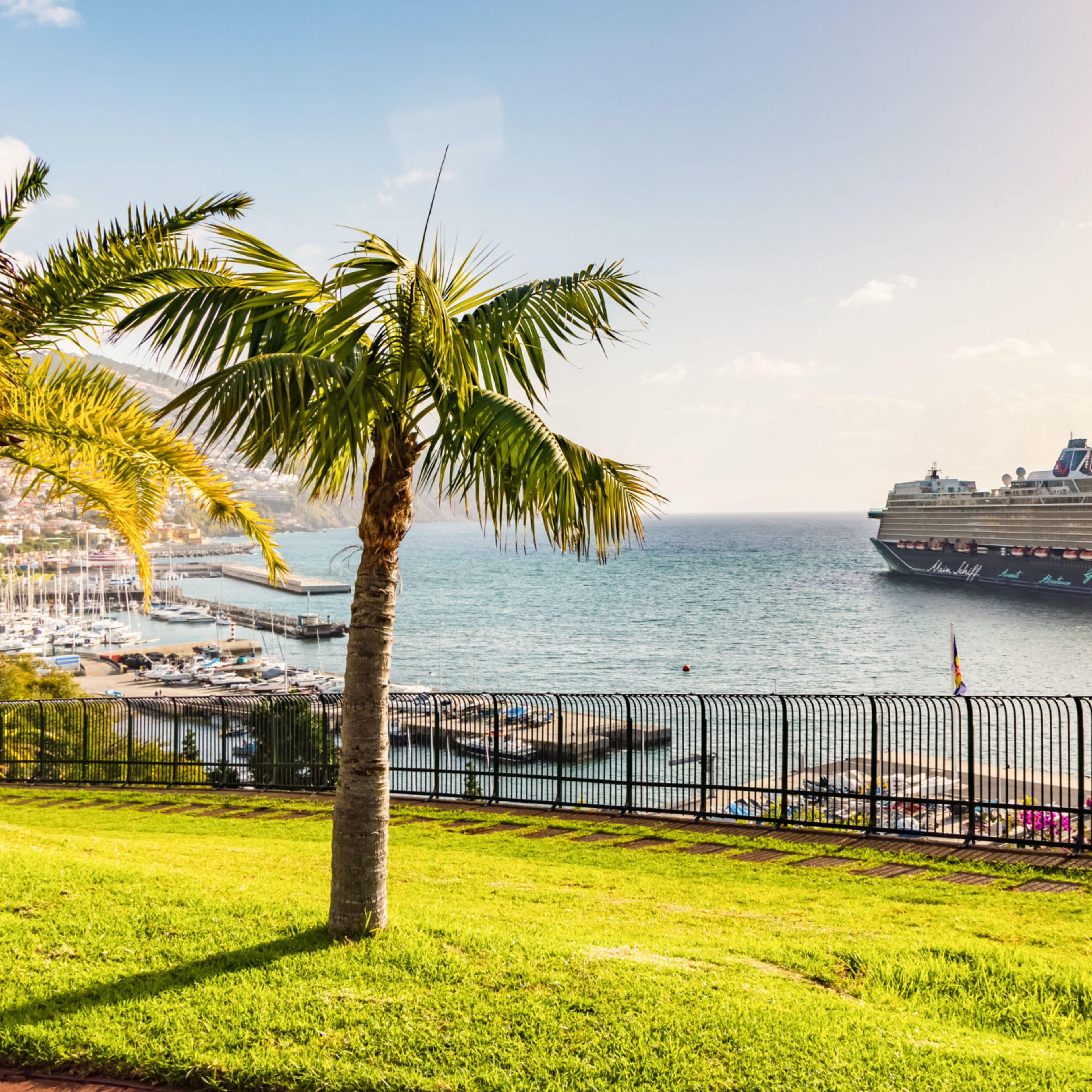 Mein Schiff 1 in Madeira Kreuzfahrtschiff der Mein Schiff® Flotte im Hafen, Palmen, Meer.