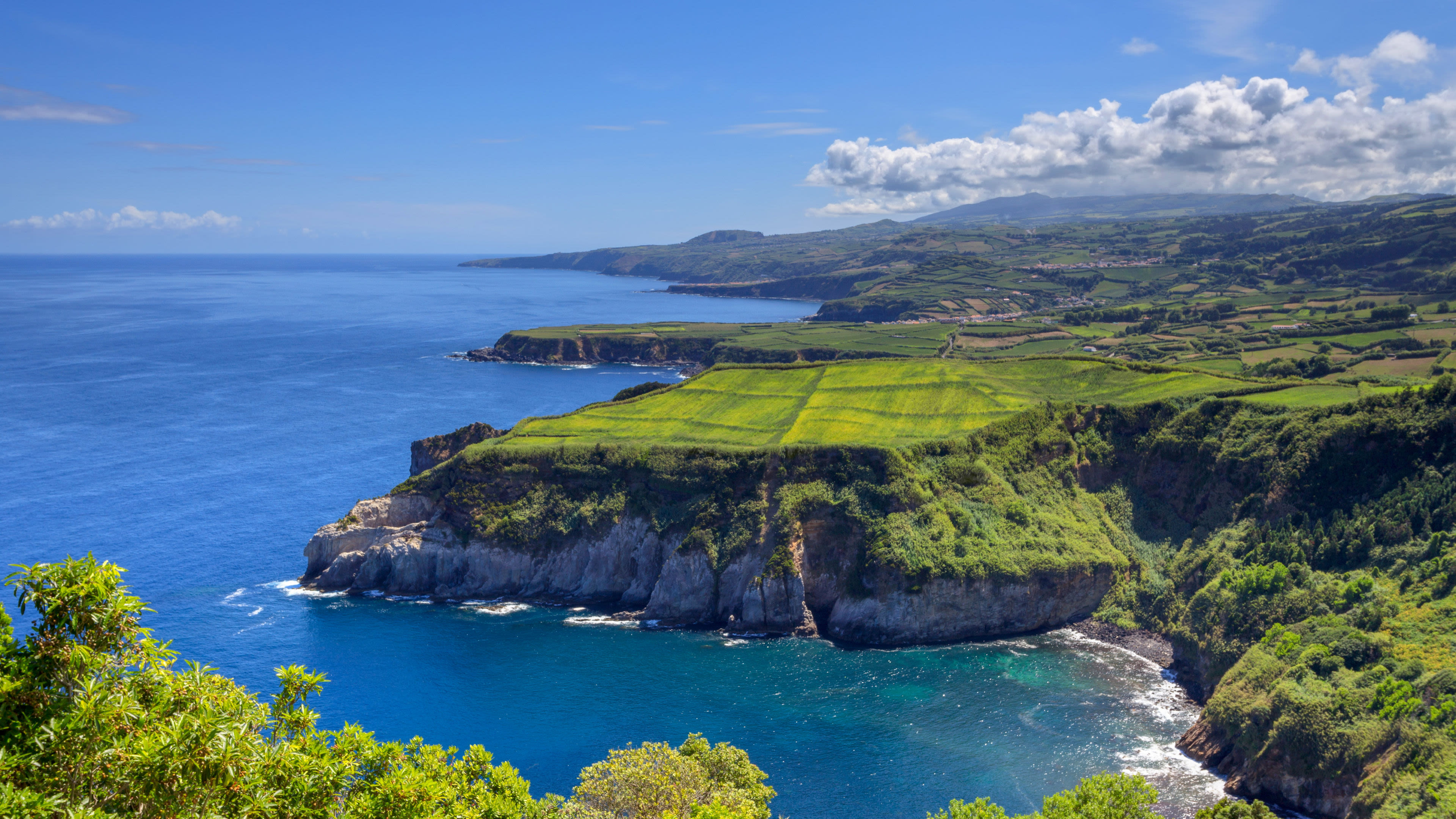 Küstenlandschaft mit grünen Feldern und blauem Meer, Azoren.