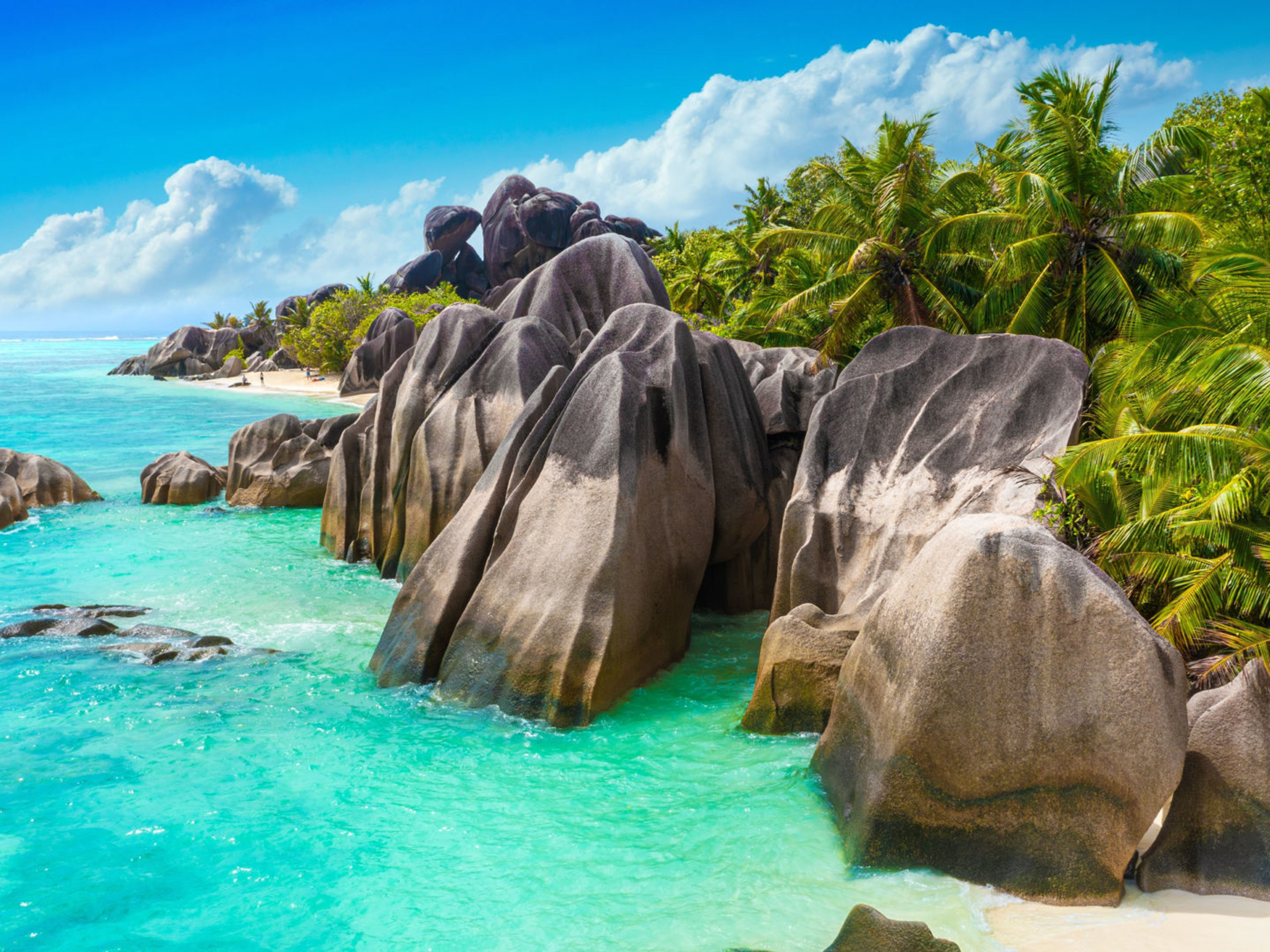 Granitfelsen und Palmen am Strand von La Digue, Seychellen. Granitfelsen und Palmen am Strand von La Digue, Seychellen.