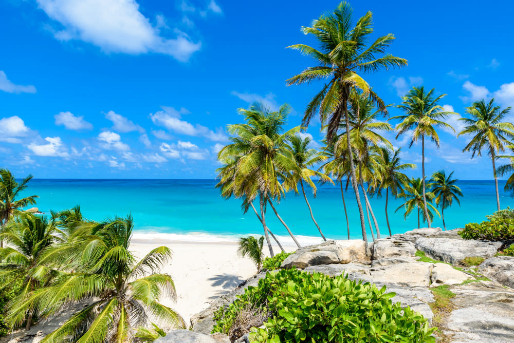 Strand mit Palmen, türkisblaues Meer, blauer Himmel