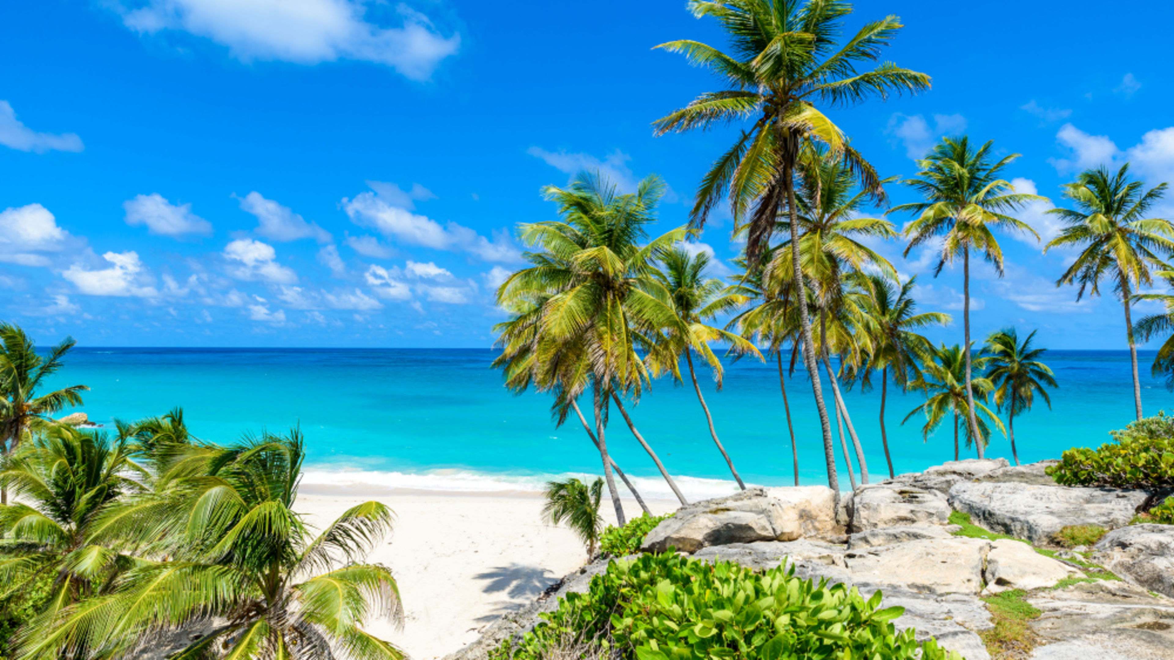 Mittelamerika BottomBay Barbados Karibik Strand mit Palmen, türkisblaues Meer, blauer Himmel