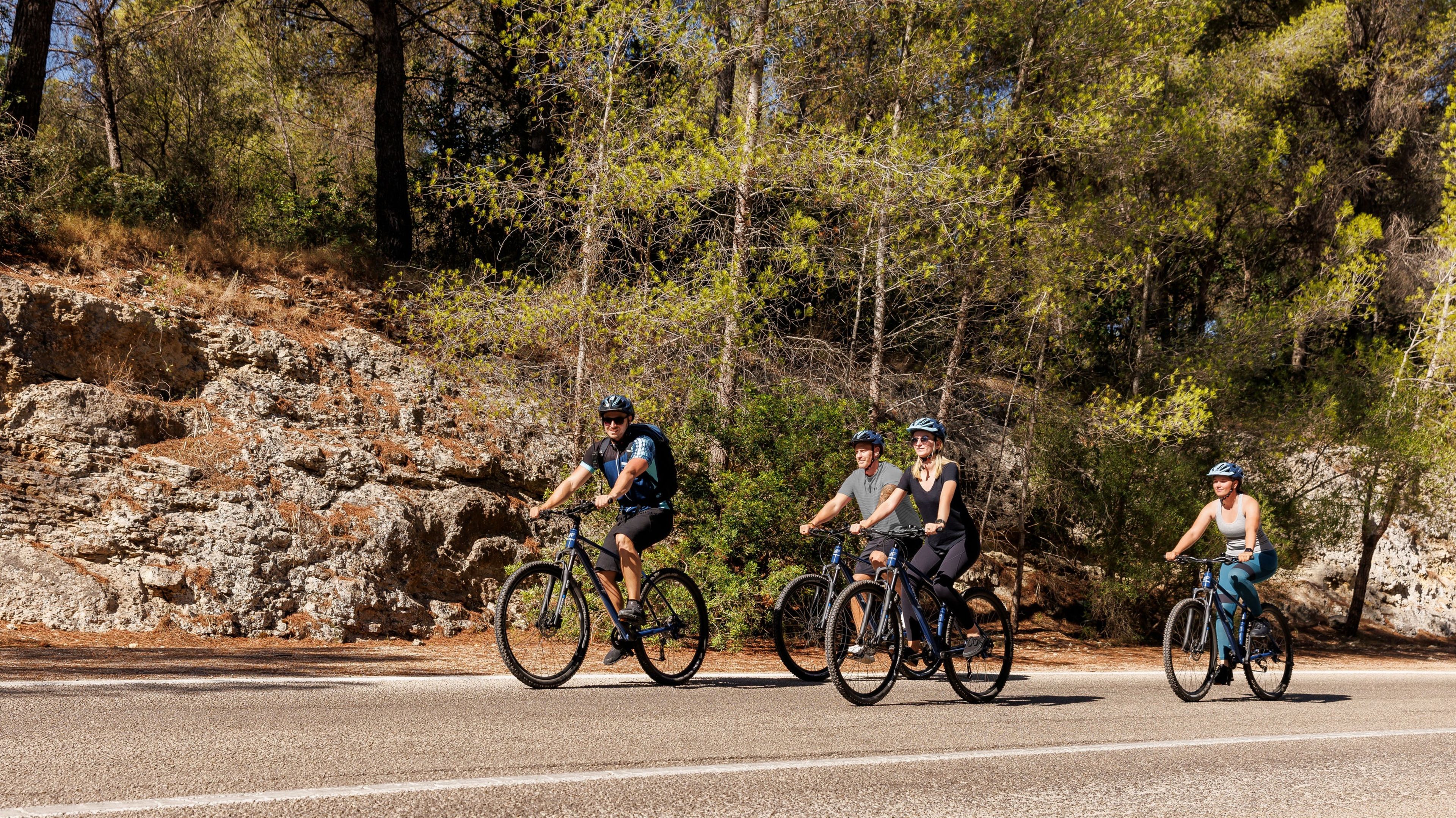 Landausflüge - Bikeausflug Vier Radfahrer auf einer Straße im Wald, sonniger Tag.