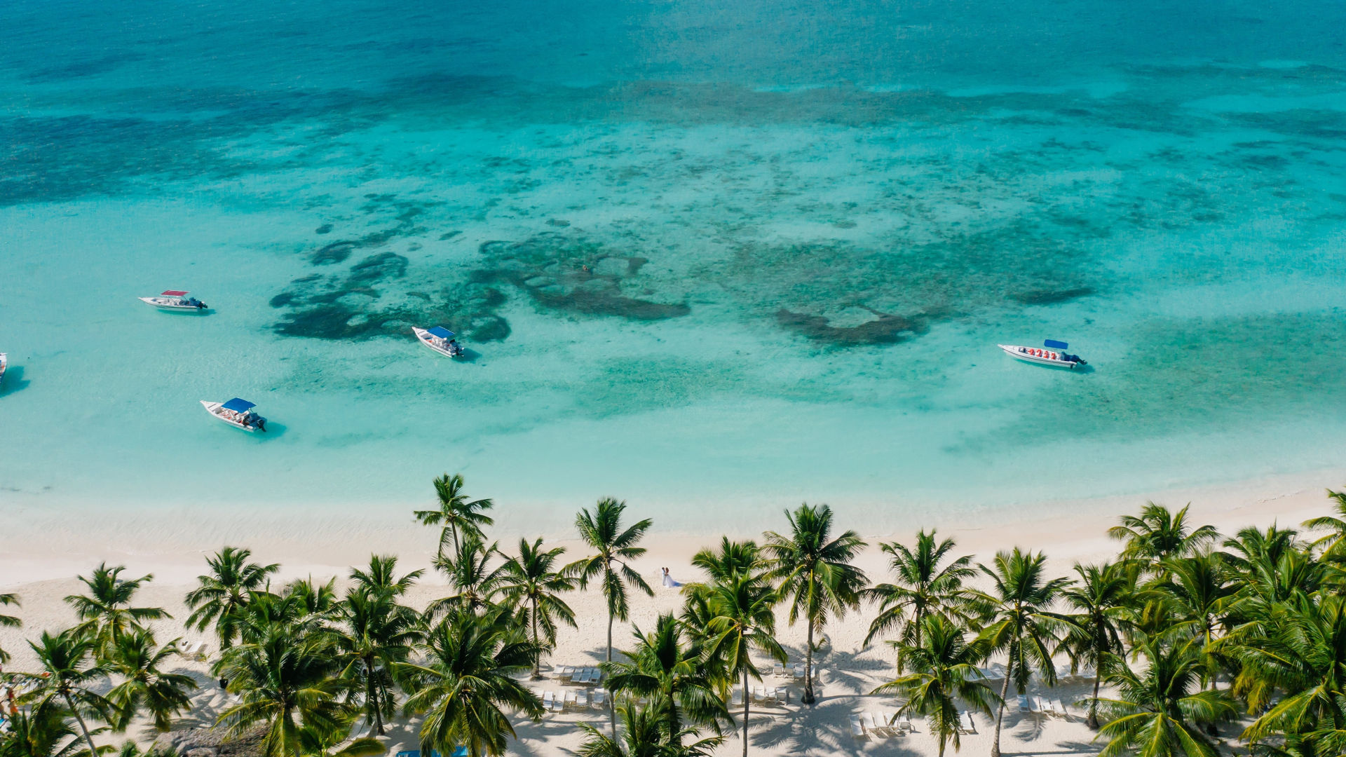 Tropischer Strand mit Palmen, türkisfarbenem Wasser und Booten.