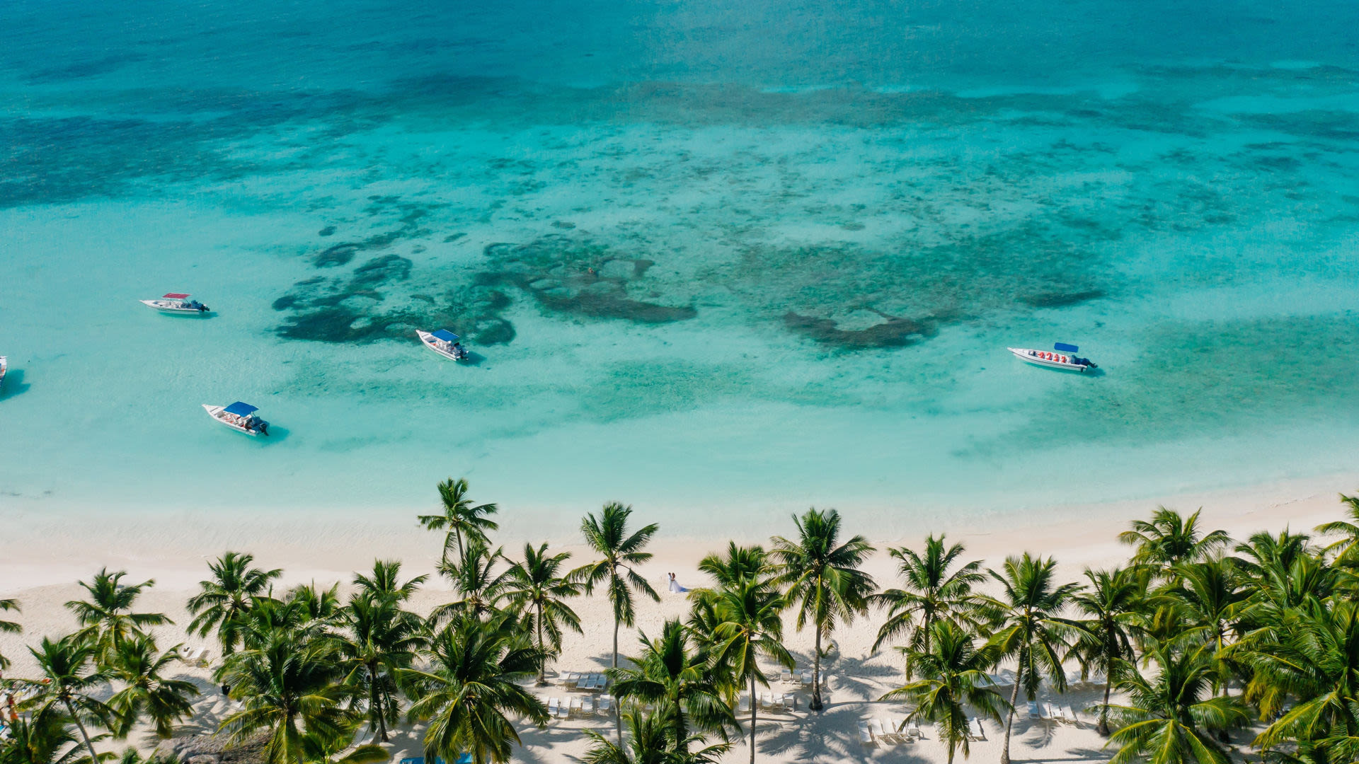 Tropischer Strand mit Palmen, türkisfarbenem Wasser und Booten.