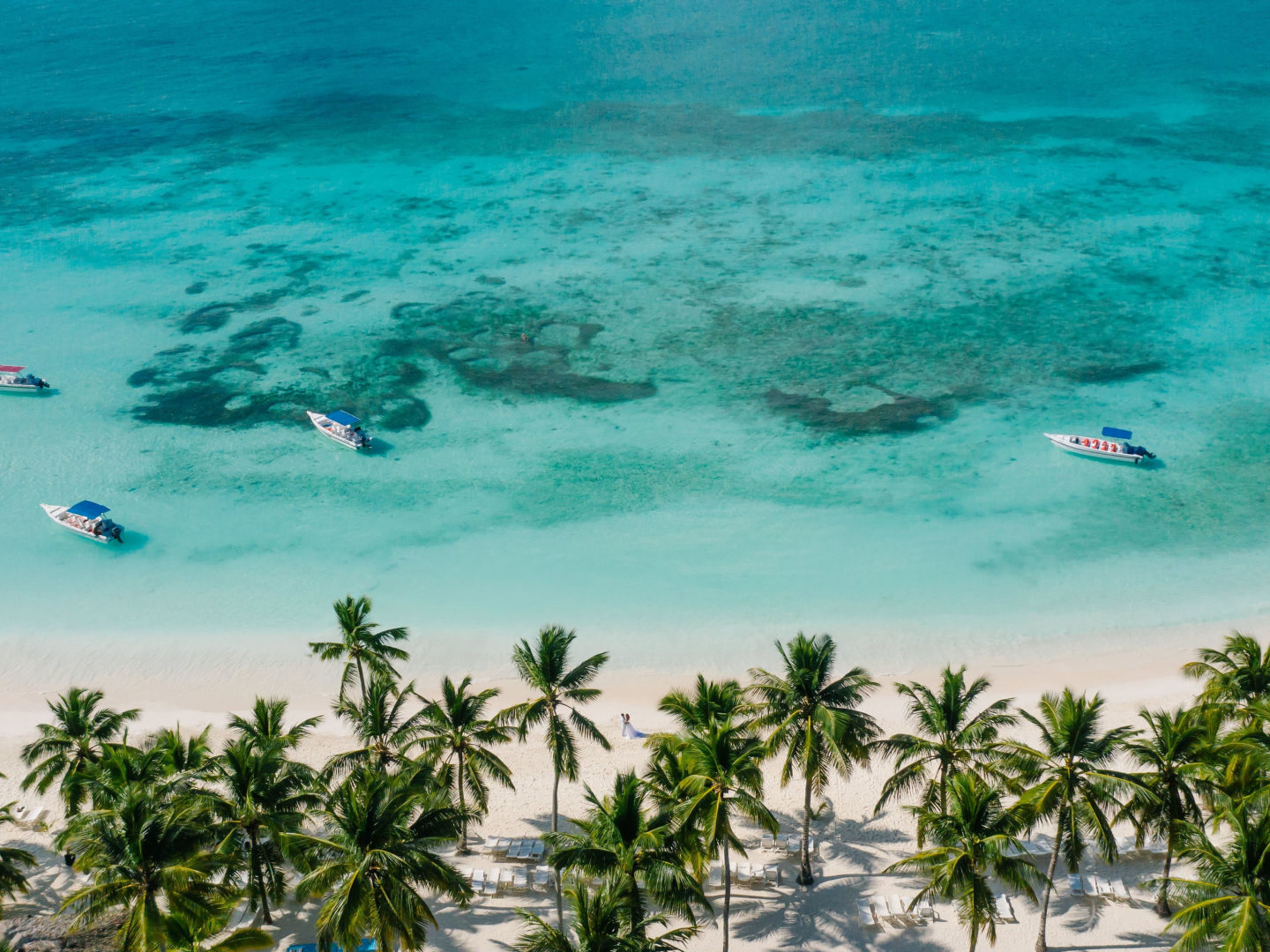Dominikanische Republik Tropischer Strand mit Palmen, türkisfarbenem Wasser und Booten.