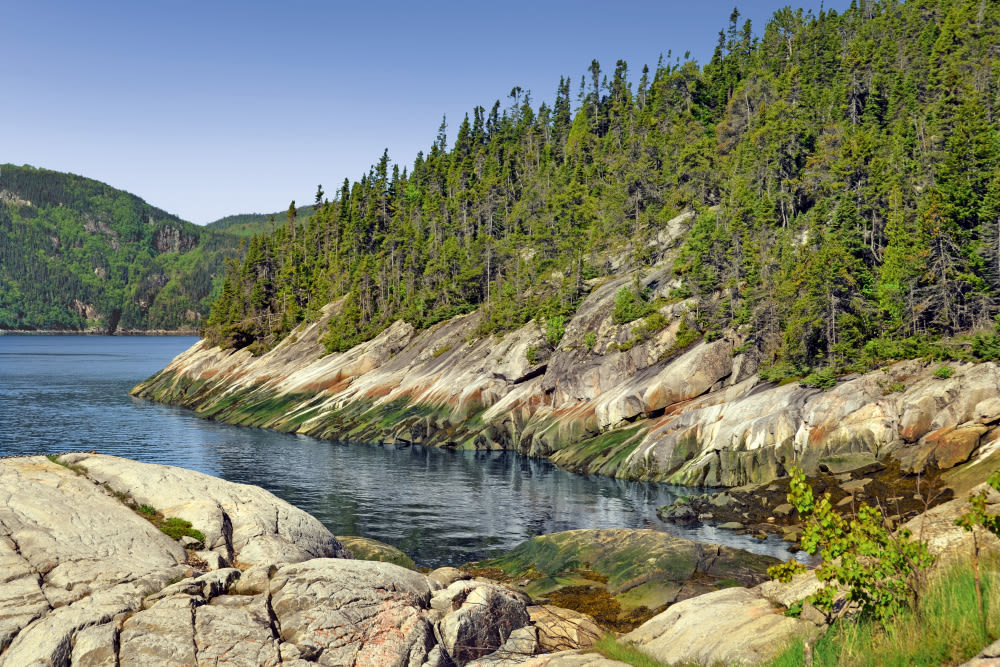 Küste mit Felsen und Wald am Saguenay-Fjord, Kanada.