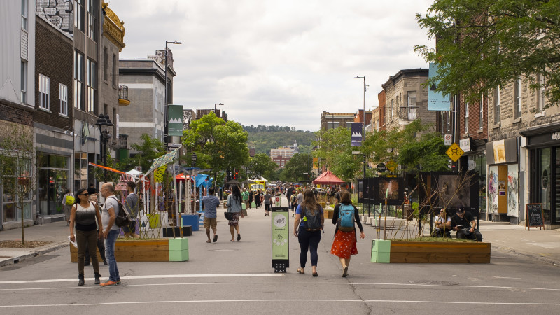 Piétonnisation de l’avenue Mont-Royal 1