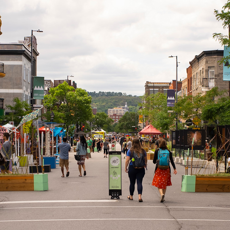 Piétonnisation de l’avenue Mont-Royal 1