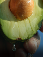 Avocado-icon