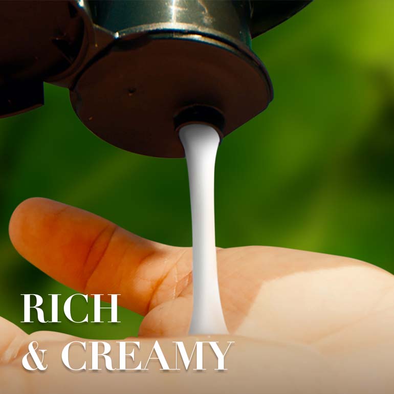 Rich & Creamy