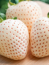 White Strawberry-icon