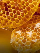 Honey-icon