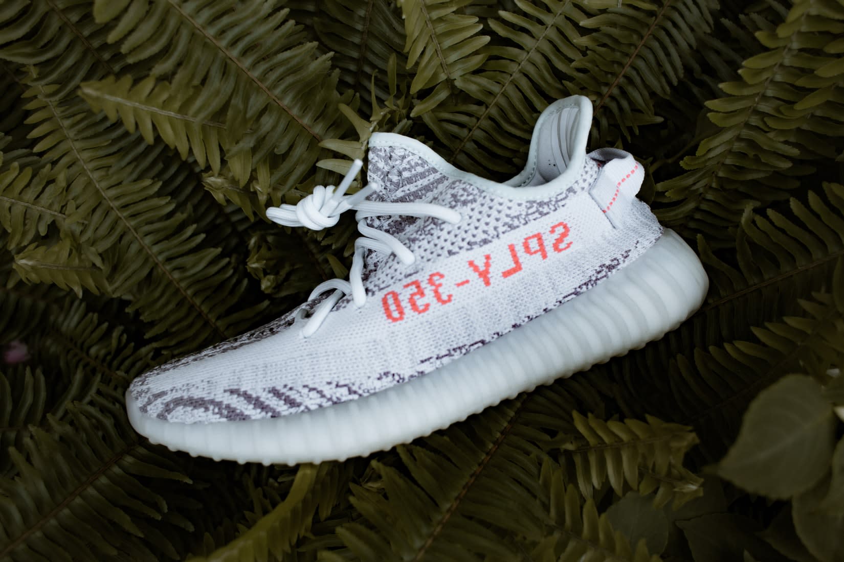 Yeezy Size Guide - How do they fit?