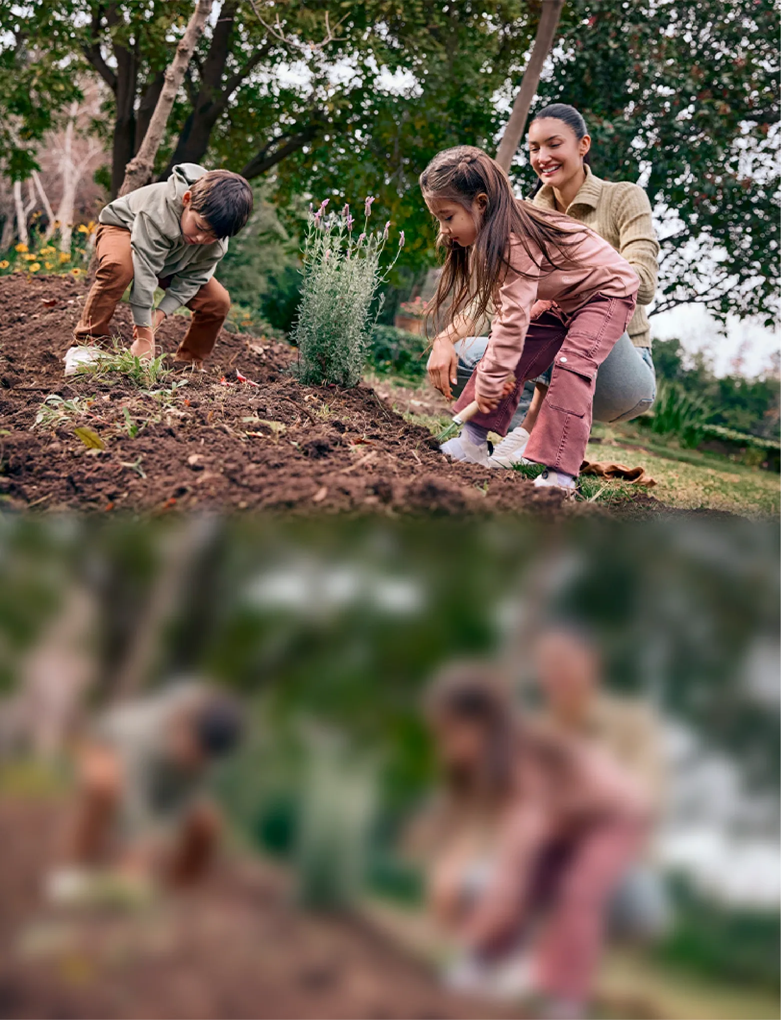 Sostenibilidad Banco Falabella