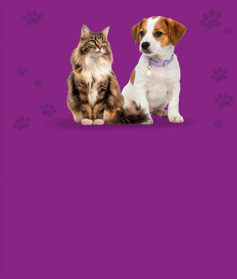 Cruz Pet