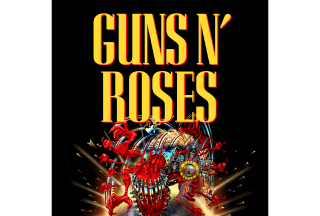 13-Slider-Testimonial-Guns