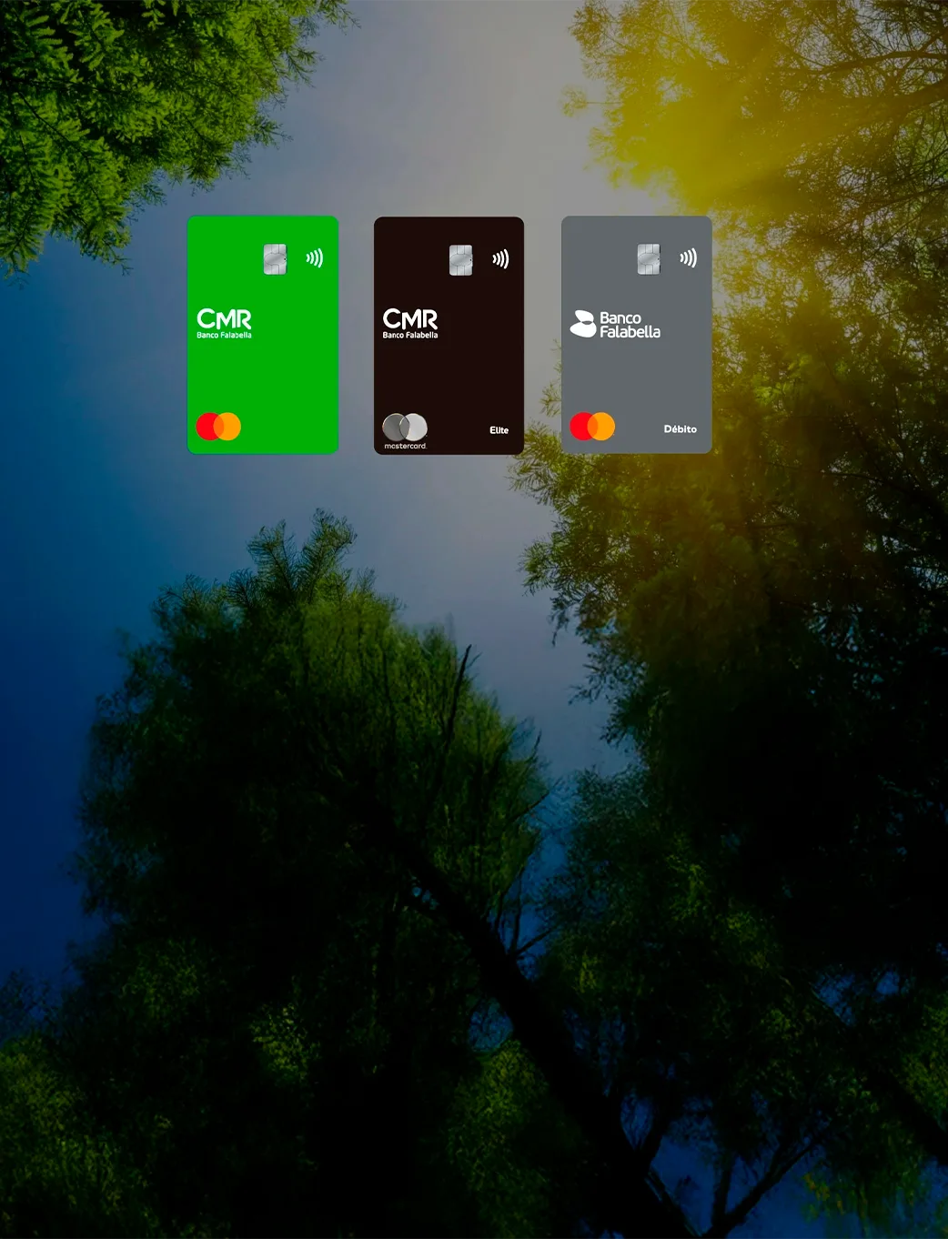 Reafirmamos nuestro compromiso con el medio ambiente