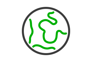 Alt de la imagen no encontrado