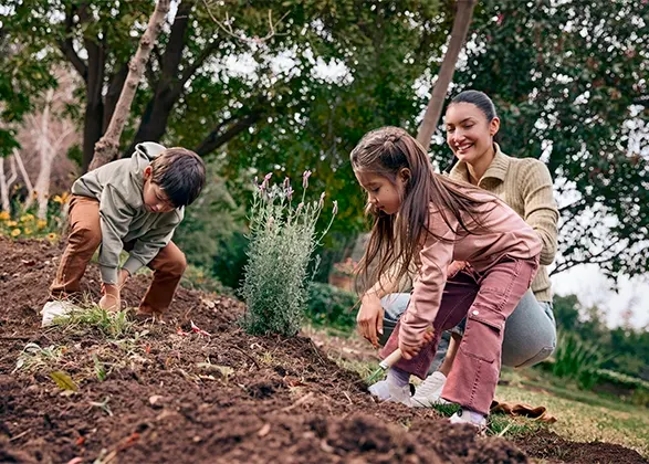 inversion-ahorro new-banner-50--5