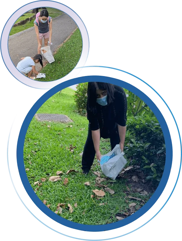 Image compilation of people cleaning trash in nature