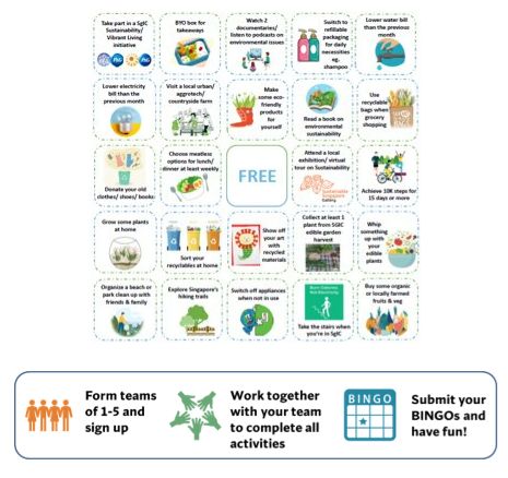 Sustainability Bingo Challenge images