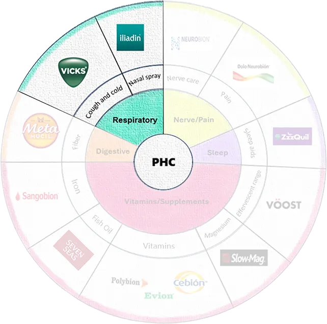 The pillars of PHC, with the respiratory pillar being highlighted.