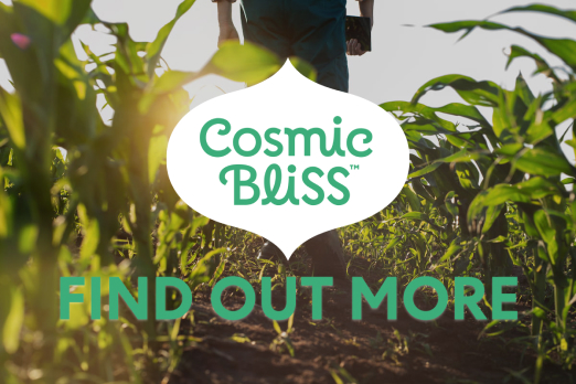 Rows of crops with text on top saying Cosmic Bliss Find out more